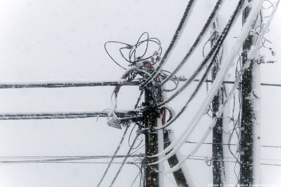 В МЧС предупредили калининградцев о сильном снегопаде в ночь на 31 декабря