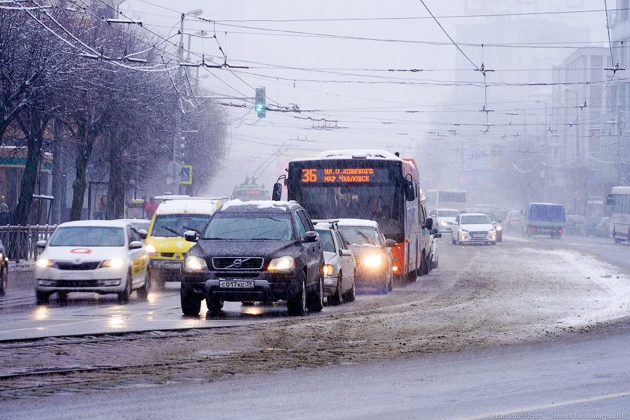 За ночь Калининград замело снегом. Вот как выглядел город утром 13 января (фото)