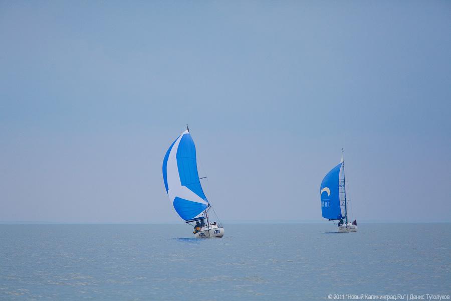 "Гонки под парусами": фоторепортаж "Афиши Нового Калининграда.Ru"