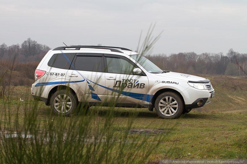 «Форест Гамп»: тест-драйв нового Subaru Forester