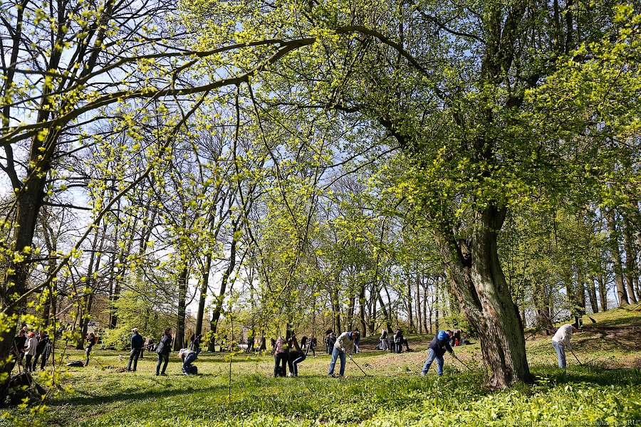С метлой в руках: в парке Победы прошёл общегородской субботник