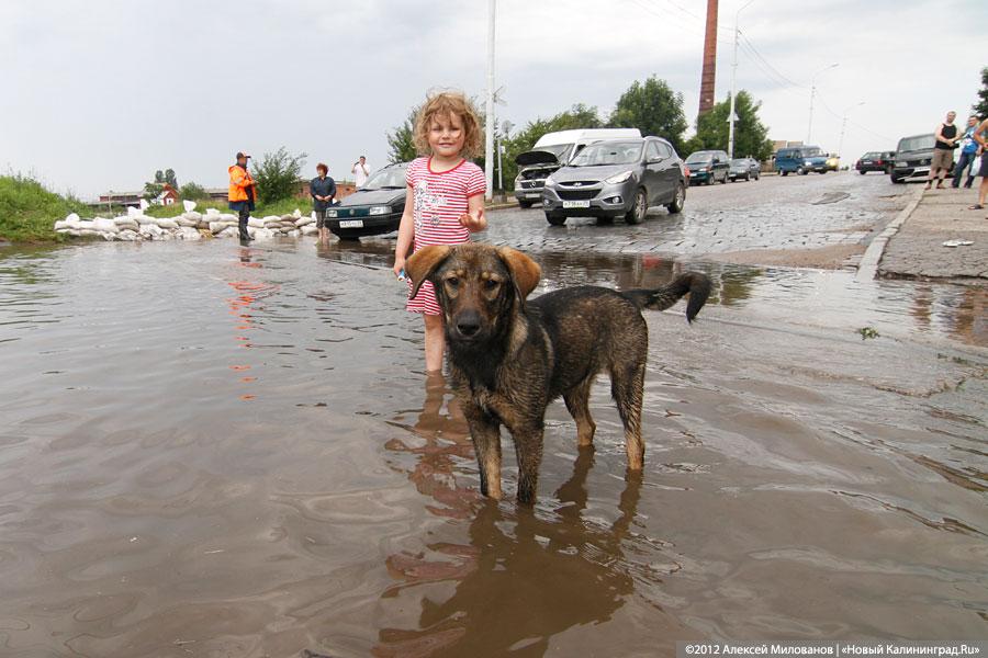 «Праздничные купания»: фоторепортаж с затопленной Аллеи Смелых