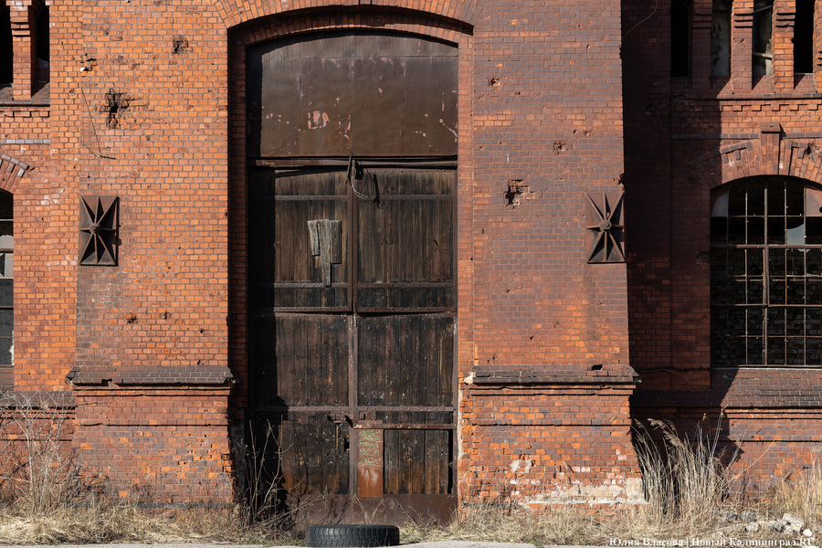 След Розенау: как выглядит заброшенный мясокомбинат на Аллее Смелых (фото)
