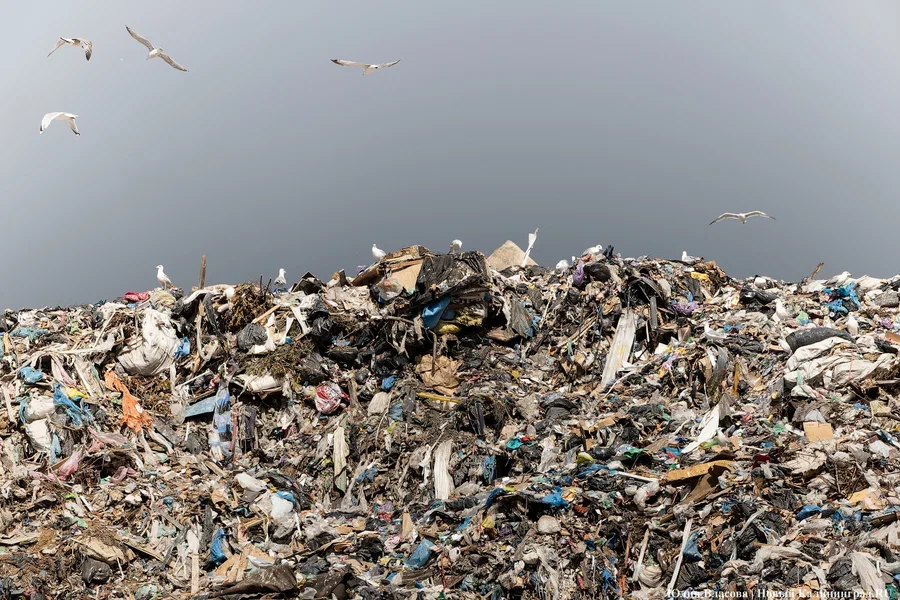 Астахова: пожары на свалках в Круглово и Ельняках произошли из-за самовозгорания