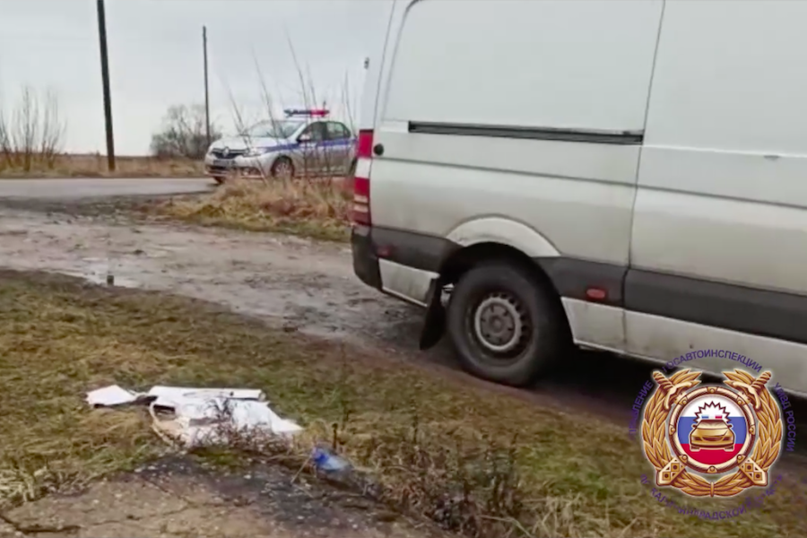 Под Неманом микроавтобус сбил 73-летнюю женщину (видео)