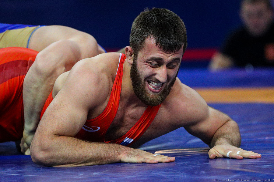 Просто мощь: чемпионат России по греко-римской борьбе идет в Калининграде (фото)