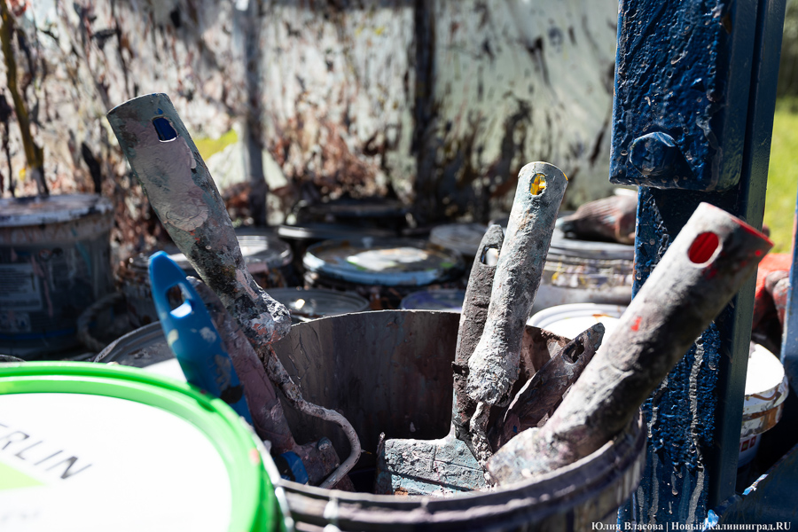 То, чему предстоит стать классикой: на зданиях БФУ им. Канта нарисовали четыре мурала (фото)