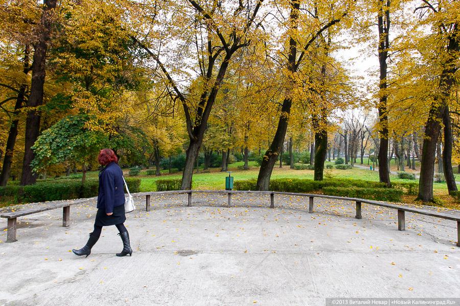 Днём совсем не страшно: осенний Балтийский парк