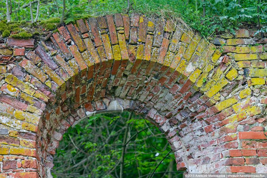 «Если вас это так волнует...»: у руин кирхи в Чехово раскопано немецкое кладбище