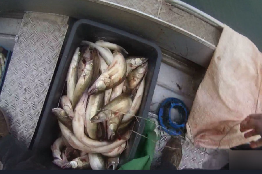 Правоохранители задержали браконьера, незаконно выловившего рыбы на 187 тысяч (фото)