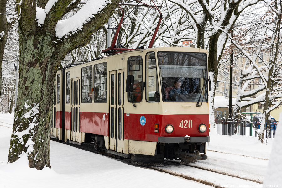 Калининград назвали городом с высоким риском сбоев работы электротранспорта