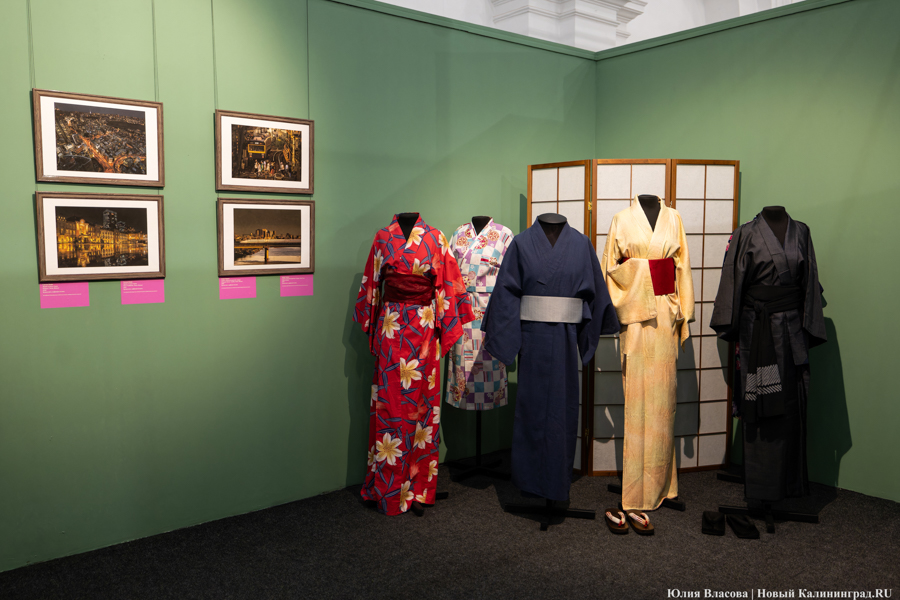 Япония рядом: в Музее изобразительных искусств открылись Дни Эрмитажа (фото)