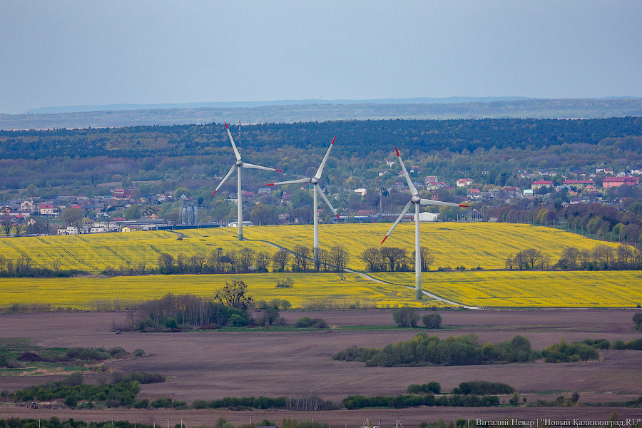 Мне сверху видно все: репетиция воздушного парада в Калининграде (фото)