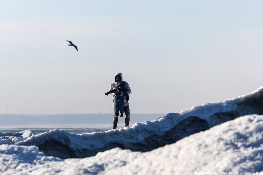 Балтика во льдах: как выглядит побережье после рекордных морозов