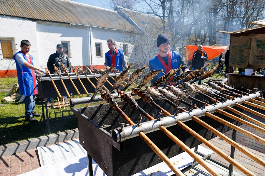 Рыбий жир: как проходит Fish Food Festival в Зеленоградске
