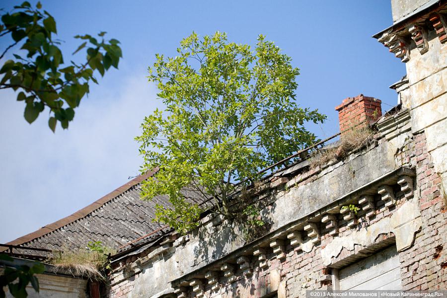 Остатки роскоши прусского барокко: усадьба в Рощино в проекте «Пустые дома»