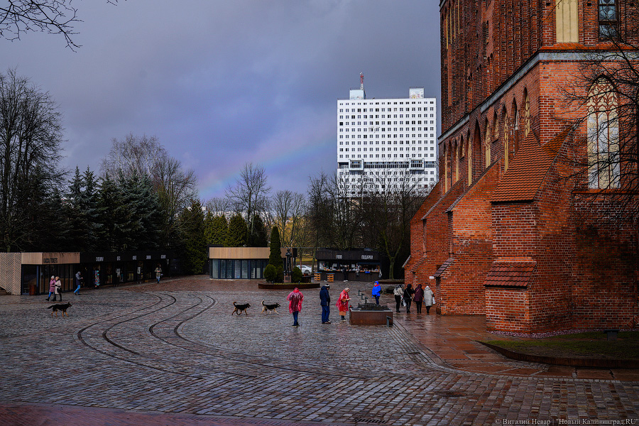 «Грязные» миллионы: во что превратился благоустроенный остров Канта к весне (фото)