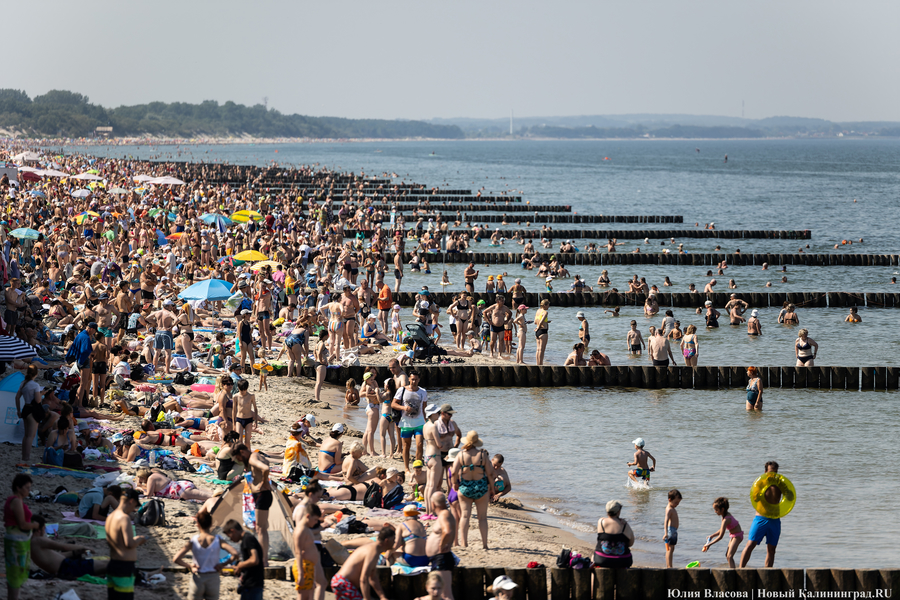 Фото: Юлия Власова / Новый Калининград