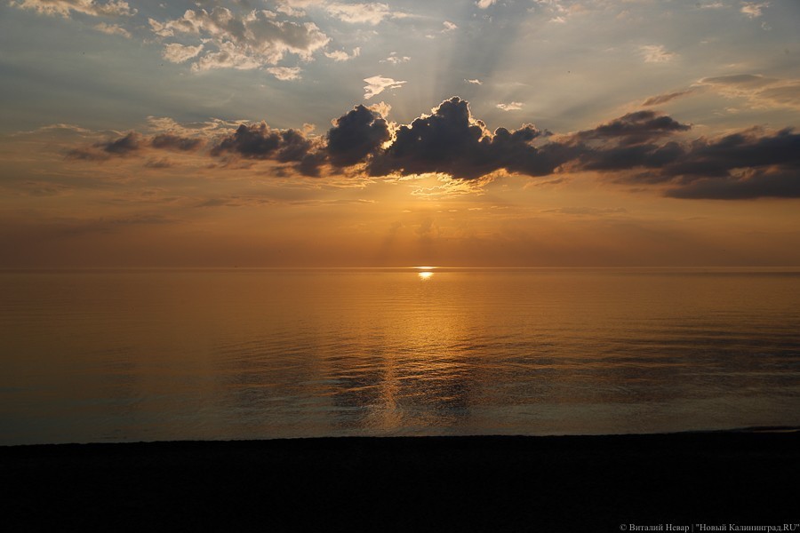 Свежо и дождливо: прогноз погоды в День города-2019 в Калининграде