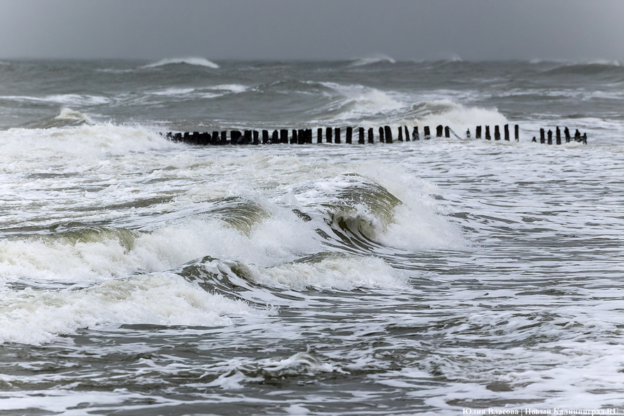 Штормовая вселенная: как циклон «Золтан» накрыл Зеленоградск (фото)