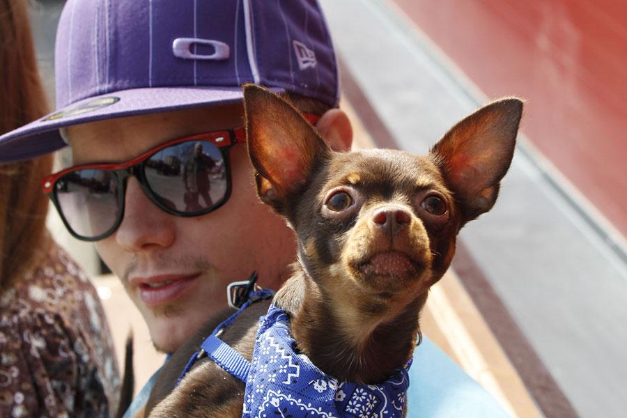 «ФОКом больше»: фоторепортаж с открытия оздоровительного центра на Горького