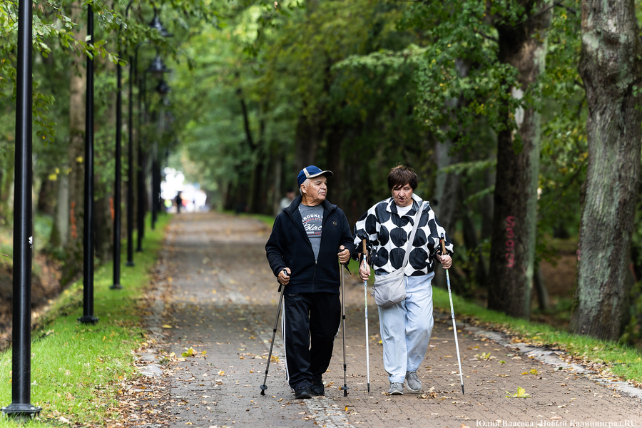 Парковая дирекция: 93% горожан одобрили изменения в Макс-Ашманн-парке