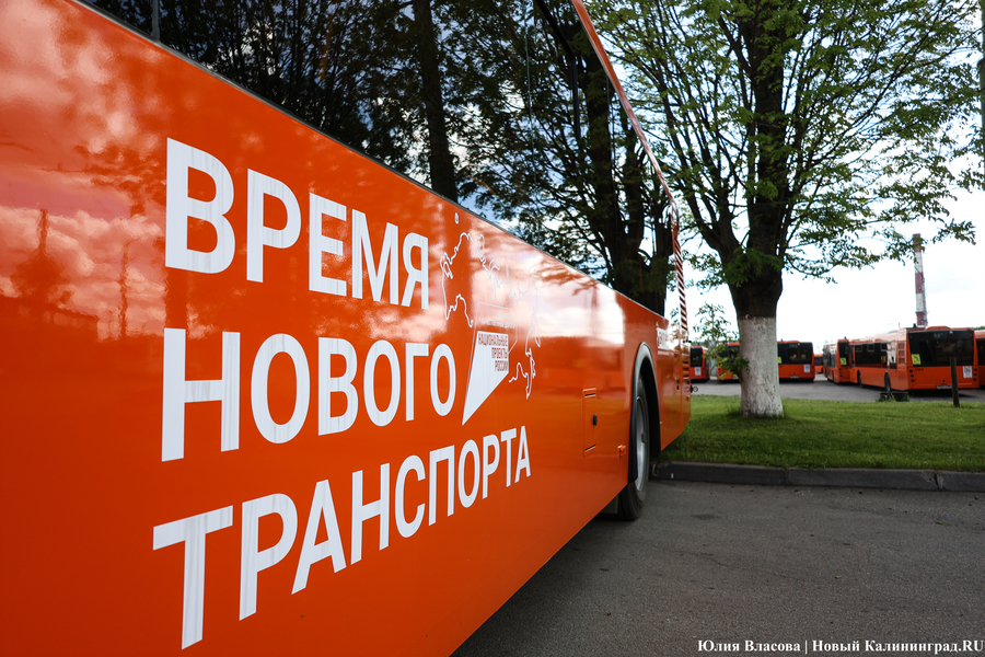 «Не надо искать особенностей»: в Калининграде на линию выпустили новые ЛиАЗы (фото)