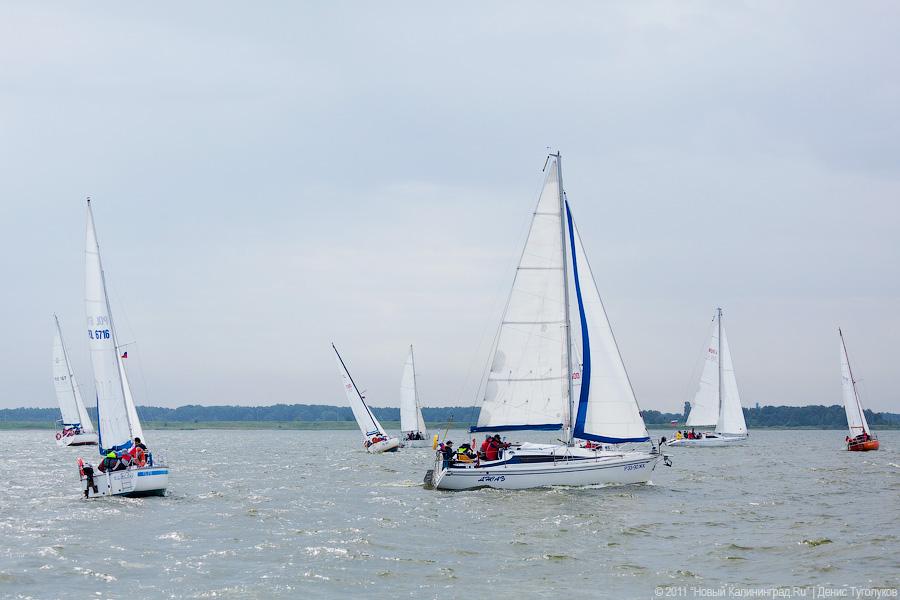 "Гонки под парусами": фоторепортаж "Афиши Нового Калининграда.Ru"