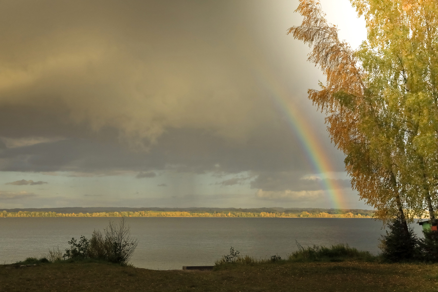 Вдоль границ нацпарка «Виштынецкий» планируют создать охранную зону