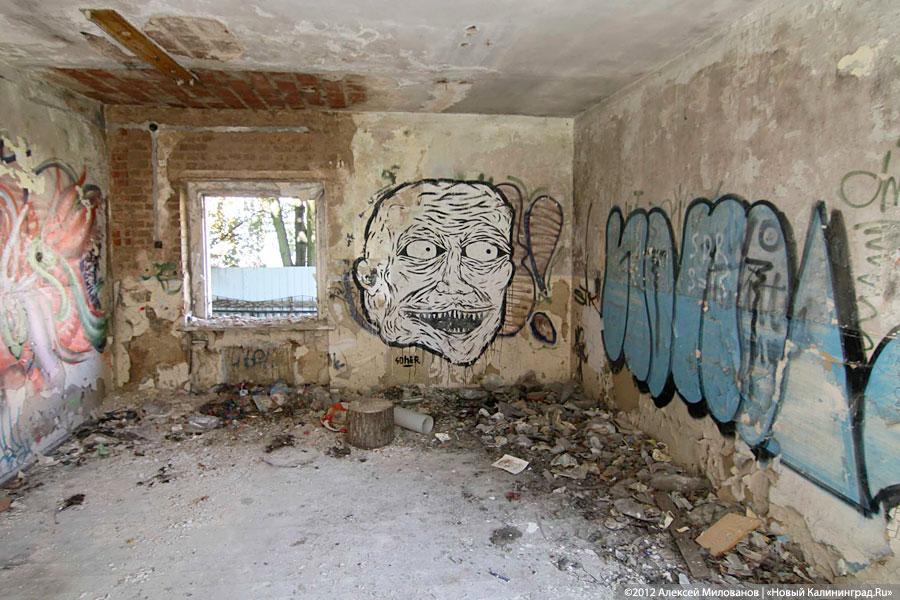 «Куда ушли детские сады»: фоторепортаж «Нового Калининграда.Ru»