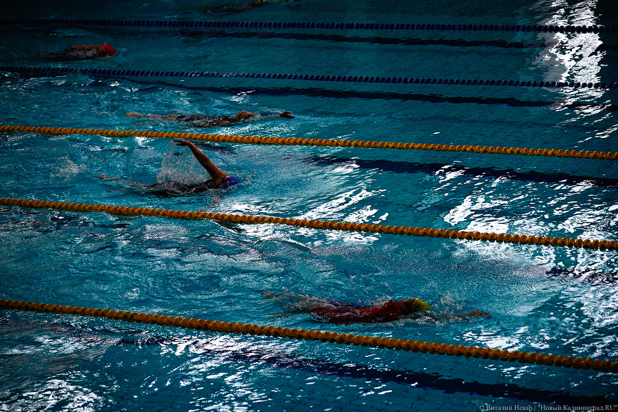 В масках и без зрителей: в Калининграде проходит чемпионат СЗФО по плаванию (фото)