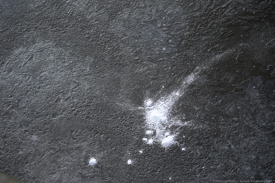 Минус, плюс и снег с дождем: синоптики сделали прогноз на выходные