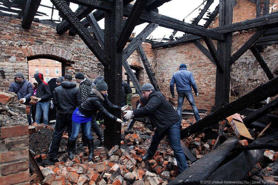 «Шаакен, волонтеры и кот Воровай»: фоторепортаж «Нового Калининграда.Ru»