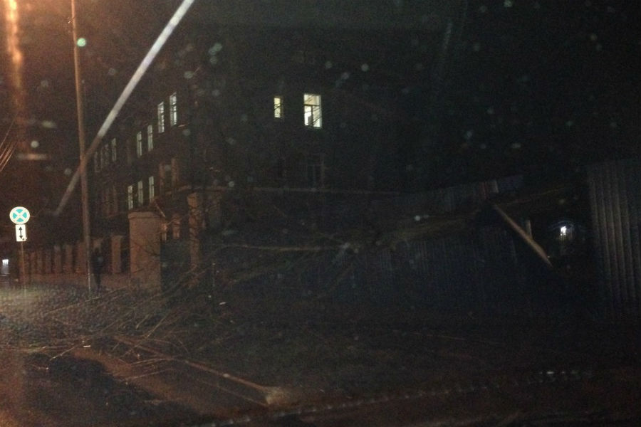 Упавшее дерево перегородило тротуар на ул. Артиллерийской в Калининграде (фото)
