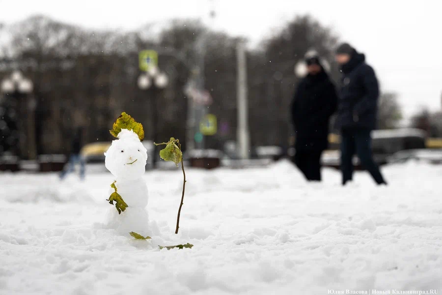 Погода в Калининградской области 27 ноября