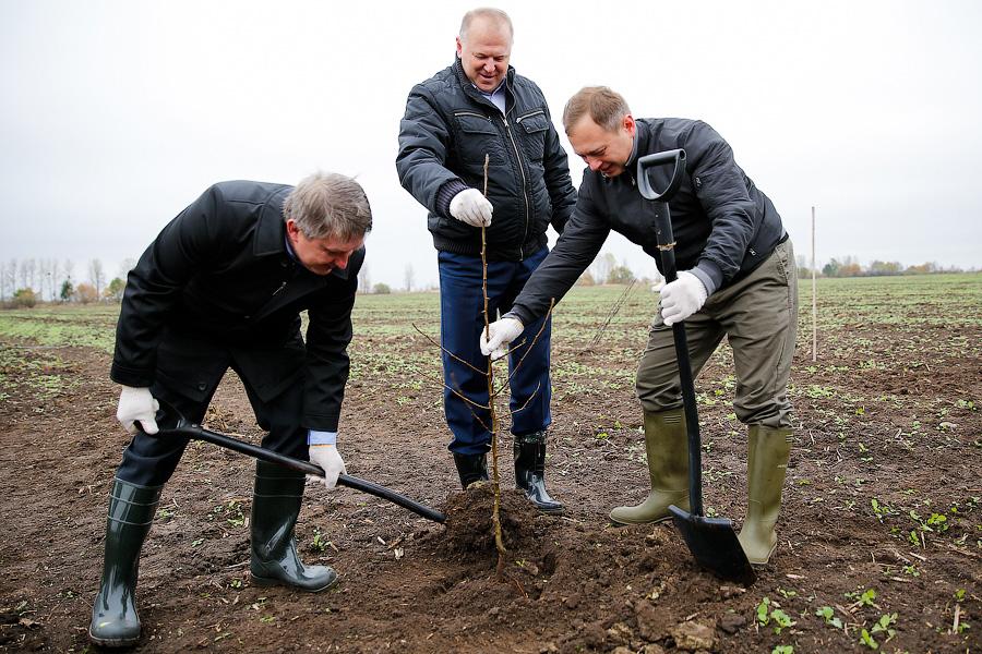 17 октября: закладка яблоневого сада в Полесском районе