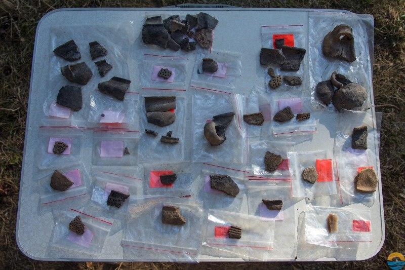 Фото пресс-службы БФУ им И. Канта