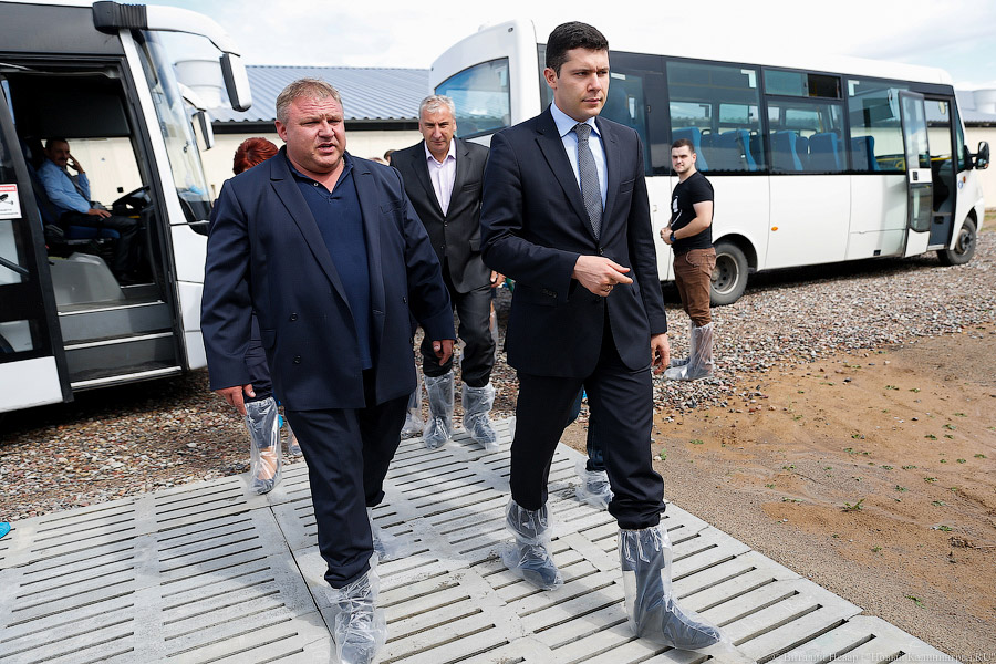 «Роды — еженедельно»: как Алиханов увидел свиней, уверенных в завтрашнем дне