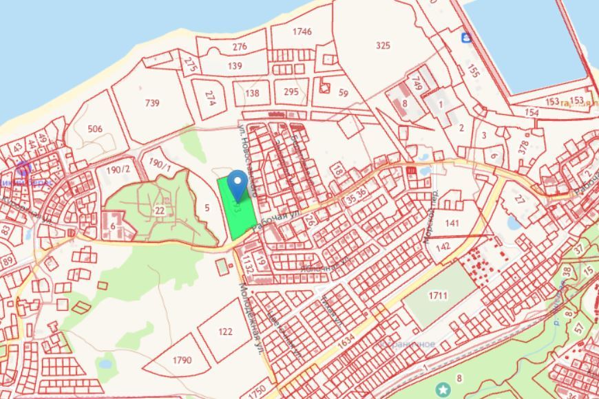 Снимок Публичной кадастровой карты