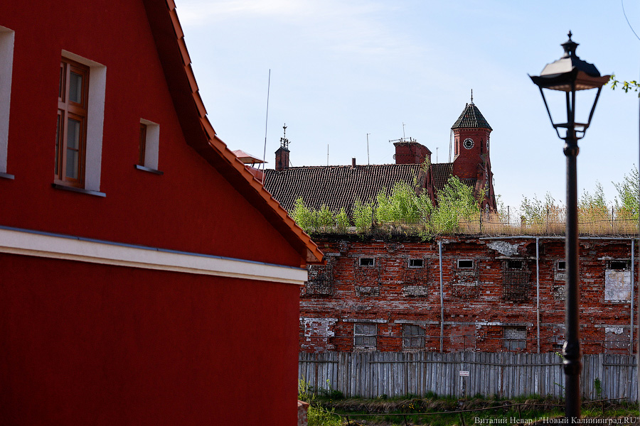 Коринт известный, Коринт запретный: в Гвардейске открылся дом-музей художника (фото)