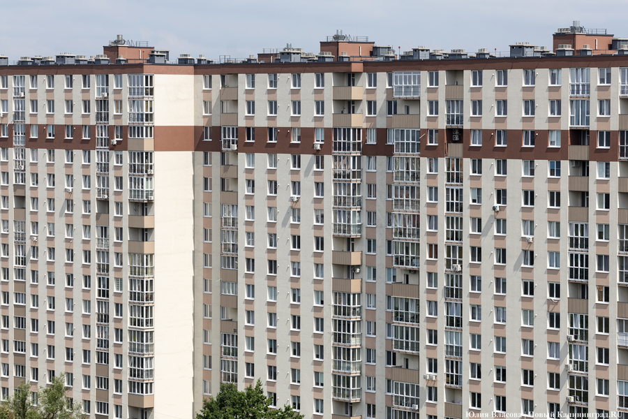 Фото: Юлия Власова / «Новый Калининград»