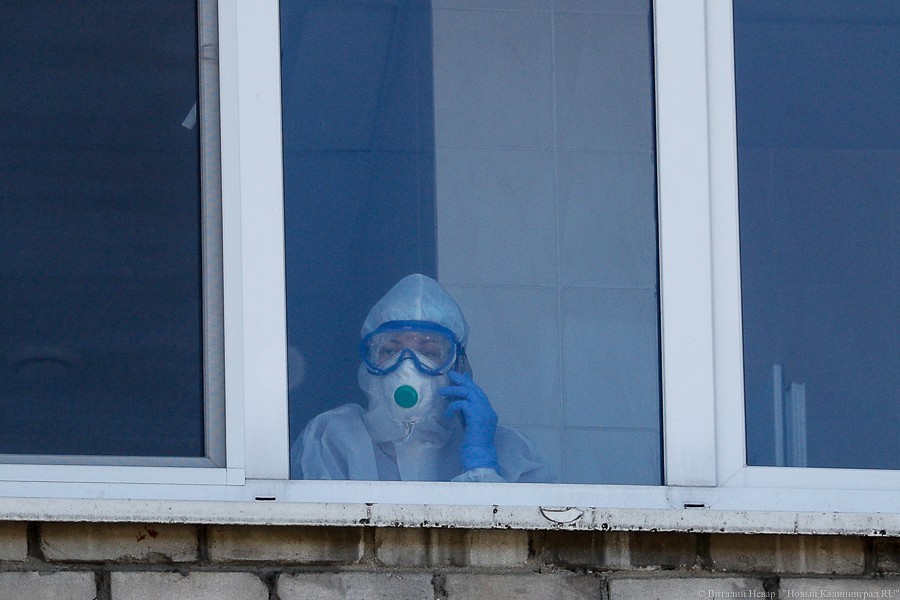 В России за сутки подтвердили 8 726 новых случаев коронавирусной инфекции