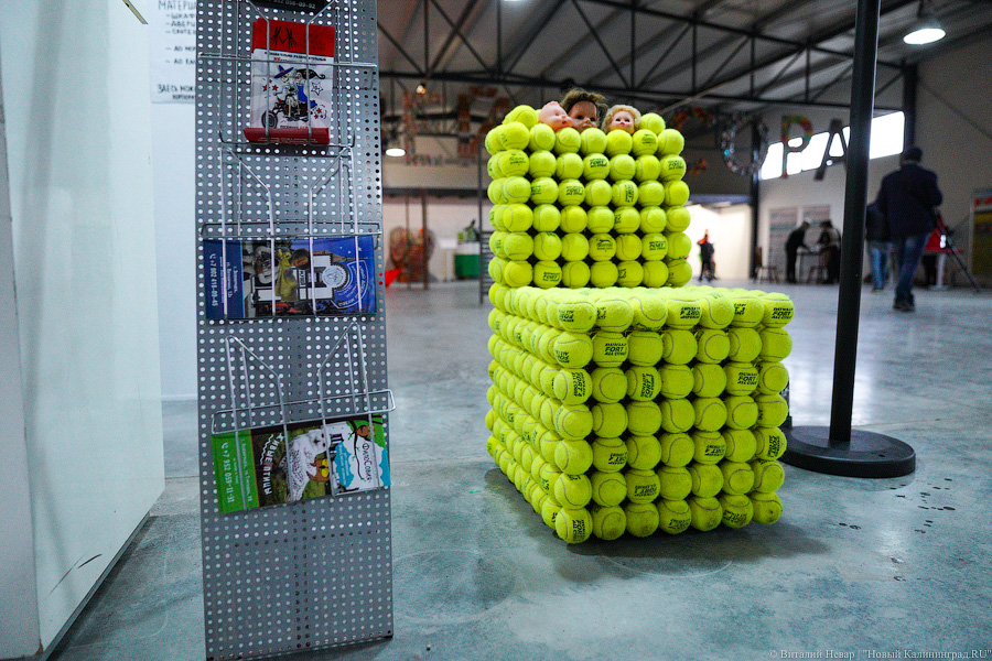 Ничего невозможного: под Калининградом открылся Музей мусора (фото)