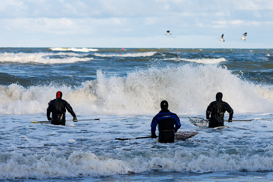 Лучшее время: как в Пионерском ловят янтарь после шторма (фото)