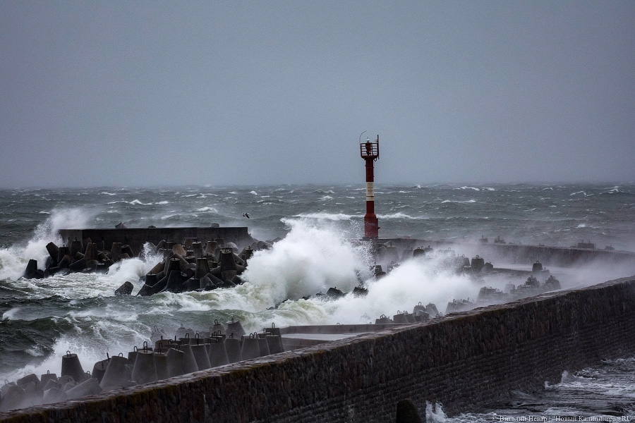 Что нам ветер: фоторепортаж из штормового Балтийска (фото)