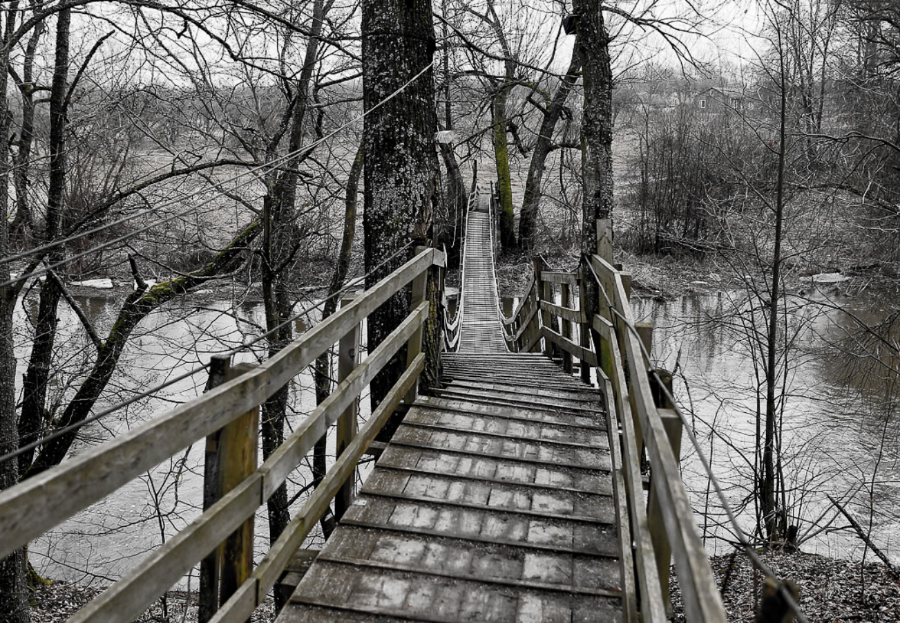 Очевидцы: мост в поселке под Черняховском повредило упавшее дерево (фото)