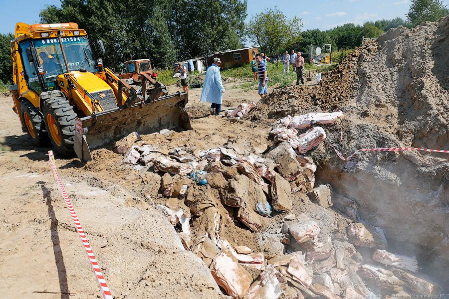 Похороны сала: как под Калининградом санкционную еду уничтожали