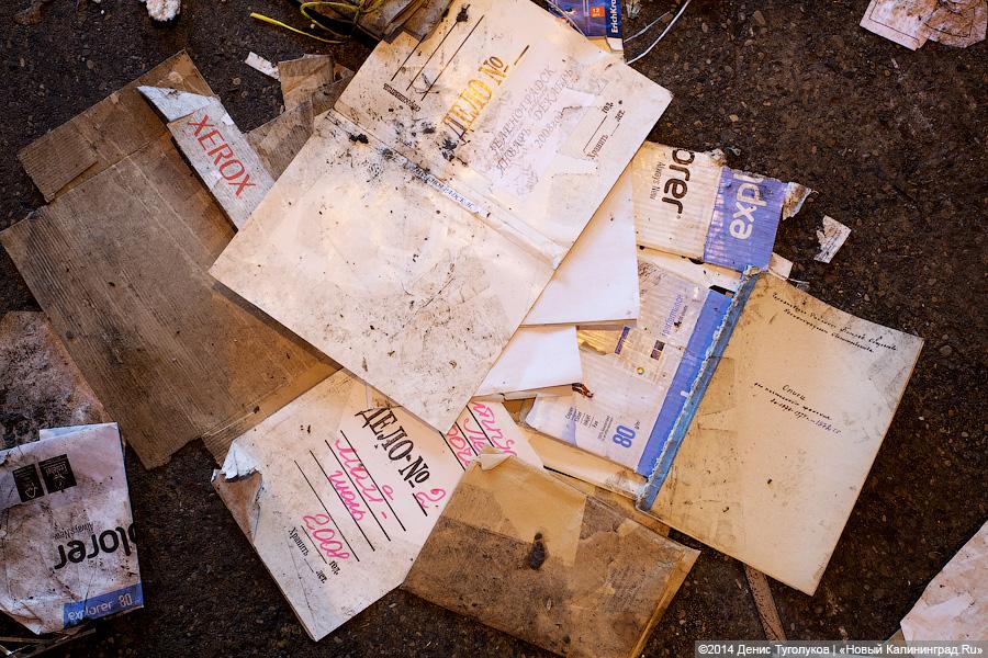 Квадратные «кубики»: как малыши из клуба «Развивалка» учились игрушки утилизировать