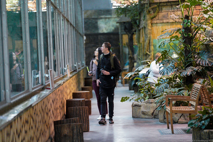 Вот компания какая: Калининградский зоопарк открыл все павильоны для посетителей