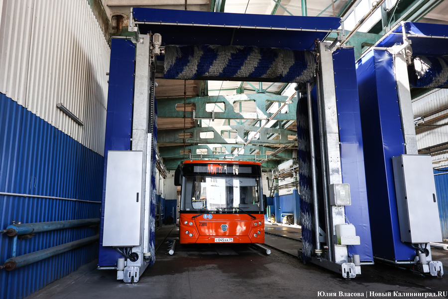 «Не надо искать особенностей»: в Калининграде на линию выпустили новые ЛиАЗы (фото)